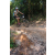 Team 29 / Raid l'Arbre Vert Cambodge - VTT