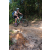 Team 29 / Raid l'Arbre Vert Cambodge - VTT