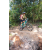 Team 62 / Raid l'Arbre Vert Cambodge - VTT