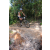 Team 37 / Raid l'Arbre Vert Cambodge - VTT