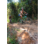 Team 53 / Raid l'Arbre Vert Cambodge - VTT