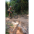 Team 07 / Raid l'Arbre Vert Cambodge - VTT