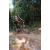 Team 07 / Raid l'Arbre Vert Cambodge - VTT