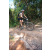 Team 30 / Raid l'Arbre Vert Cambodge - VTT