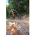 Team 16 / Raid l'Arbre Vert Cambodge - VTT