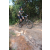 Team 67 / Raid l'Arbre Vert Cambodge - VTT