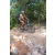 Team 85 / Raid l'Arbre Vert Cambodge - VTT