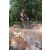 Team 26 / Raid l'Arbre Vert Cambodge - VTT