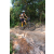 Team 81 / Raid l'Arbre Vert Cambodge - VTT
