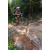 Team 26 / Raid l'Arbre Vert Cambodge - VTT