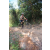 Team 44 / Raid l'Arbre Vert Cambodge - VTT