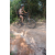 Team 44 / Raid l'Arbre Vert Cambodge - VTT