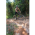 Team 38 / Raid l'Arbre Vert Cambodge - VTT