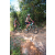 Team 38 / Raid l'Arbre Vert Cambodge - VTT
