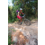 Team 79 / Raid l'Arbre Vert Cambodge - VTT