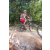 Team 79 / Raid l'Arbre Vert Cambodge - VTT