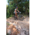 Team 54 / Raid l'Arbre Vert Cambodge - VTT