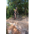 Team 54 / Raid l'Arbre Vert Cambodge - VTT