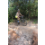 Team 47 / Raid l'Arbre Vert Cambodge - VTT