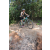 Team 47 / Raid l'Arbre Vert Cambodge - VTT