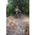 Team 25 / Raid l'Arbre Vert Cambodge - VTT