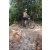 Team 25 / Raid l'Arbre Vert Cambodge - VTT