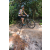Team 19 / Raid l'Arbre Vert Cambodge - VTT