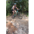 Team 19 / Raid l'Arbre Vert Cambodge - VTT