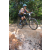 Team 19 / Raid l'Arbre Vert Cambodge - VTT