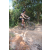 Team 48 / Raid l'Arbre Vert Cambodge - VTT