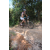 Team 48 / Raid l'Arbre Vert Cambodge - VTT