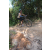 Team 63 / Raid l'Arbre Vert Cambodge - VTT