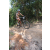 Team 52 / Raid l'Arbre Vert Cambodge - VTT