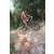 Team 52 / Raid l'Arbre Vert Cambodge - VTT