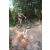 Team 52 / Raid l'Arbre Vert Cambodge - VTT