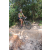 Team 80 / Raid l'Arbre Vert Cambodge - VTT