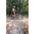 Team 80 / Raid l'Arbre Vert Cambodge - VTT