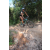 Team 43 / Raid l'Arbre Vert Cambodge - VTT