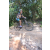 Team 31 / Raid l'Arbre Vert Cambodge - VTT