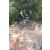 Team 31 / Raid l'Arbre Vert Cambodge - VTT