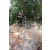 Team 56 / Raid l'Arbre Vert Cambodge - VTT