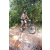 Team 23 / Raid l'Arbre Vert Cambodge - VTT