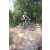 Team 61 / Raid l'Arbre Vert Cambodge - VTT