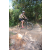 Team 21 / Raid l'Arbre Vert Cambodge - VTT