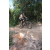 Team 21 / Raid l'Arbre Vert Cambodge - VTT