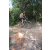 Team 21 / Raid l'Arbre Vert Cambodge - VTT