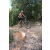 Team 24 / Raid l'Arbre Vert Cambodge - VTT
