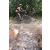 Team 24 / Raid l'Arbre Vert Cambodge - VTT