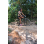Team 86 / Raid l'Arbre Vert Cambodge - VTT