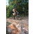 Team 86 / Raid l'Arbre Vert Cambodge - VTT